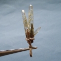 ヒマラヤ水晶ペンダント針金形状内包物058